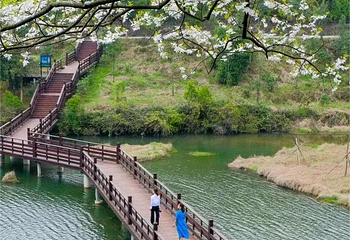 天井山国家森林公园第 5 张图片