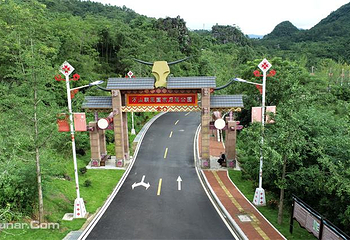 万山朝王第 6 张图片