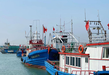 滨海新区第 5 张图片
