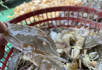天津出海捕鱼海钓基地第 2 张图片