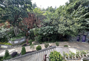 清华古洞第 11 张图片