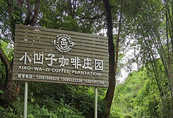 小凹子咖啡庄园第 3 张图片