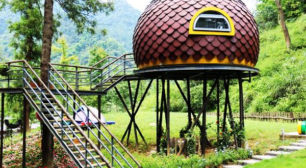 金佛山星空露营营地