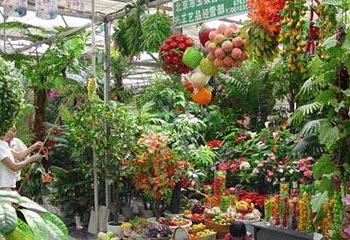曹庄花卉市场第 1 张图片