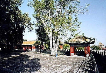 攀枝花观音寺第 1 张图片