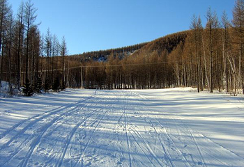 塞罕坝滑雪场第 1 张图片