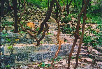 锦屏山第 1 张图片