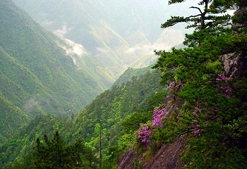 凤阳山第 1 张图片