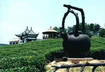 绣球岛第 1 张图片