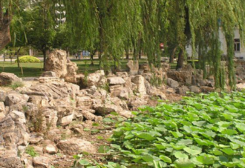 天津水上公园第 6 张图片