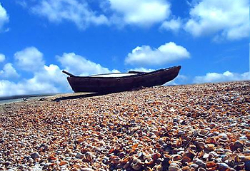 贝壳堤第 1 张图片