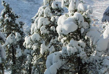 济南卧虎山国际滑雪场第 7 张图片