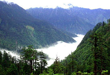 黑竹沟风景名胜区第 36 张图片