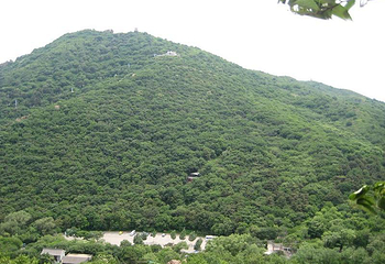 鸡冠山国家森林公园第 32 张图片