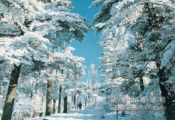 大坪霁雪第 1 张图片