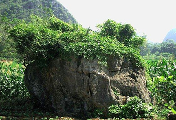 伊岭岩第 2 张图片