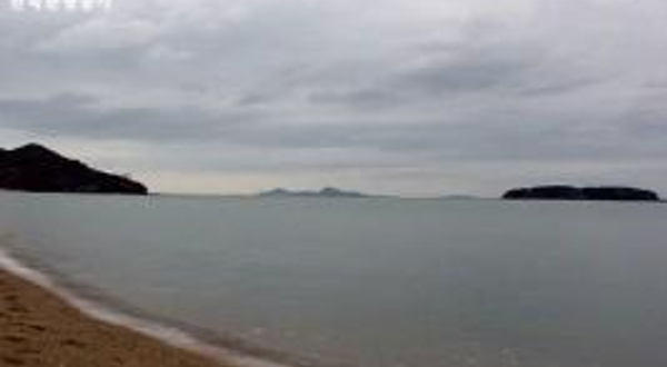 故沙浦松林海水浴场