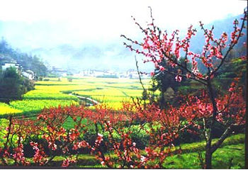 上丰花果山第 1 张图片