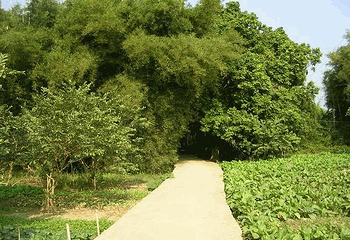 禤洲岛第 1 张图片