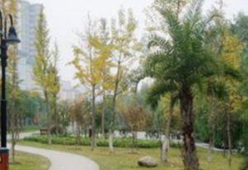 稻香园度假村第 1 张图片
