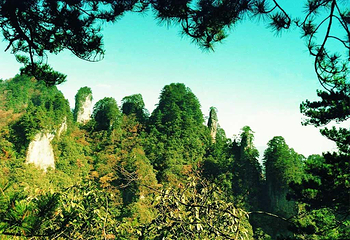 蓬莱公园第 1 张图片