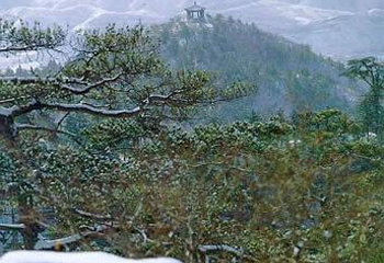 乐都南山第 1 张图片