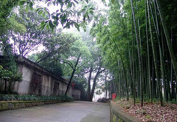 互助县古城村第 1 张图片
