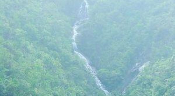 叫水坑原始森林