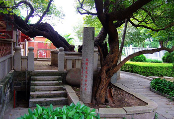 泉州开元寺第 11 张图片