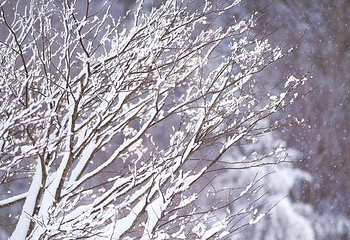北山冰雪大世界第 8 张图片