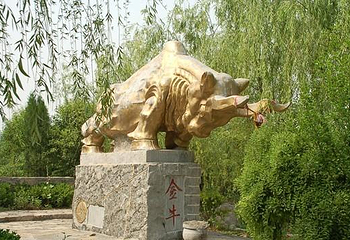 菏泽金山第 1 张图片