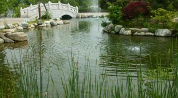 江原道立花木园