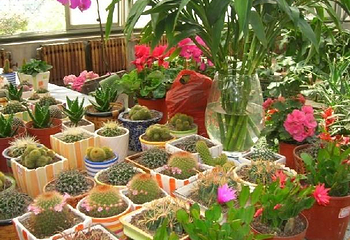 西安植物园新区第 8 张图片