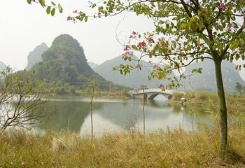 立鱼峰第 1 张图片