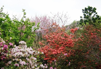 阳明山国家公园第 7 张图片