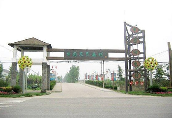 中国农民画村第 3 张图片