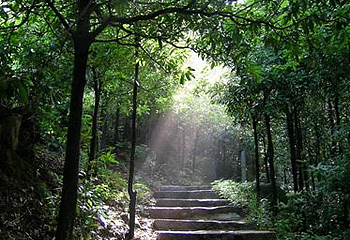 登山古径第 1 张图片