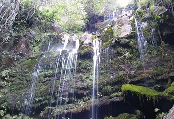 永仁方山第 8 张图片