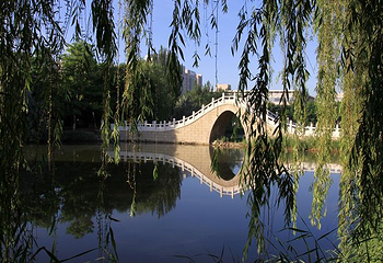 柳湖第 1 张图片