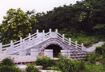 茶山园第 1 张图片