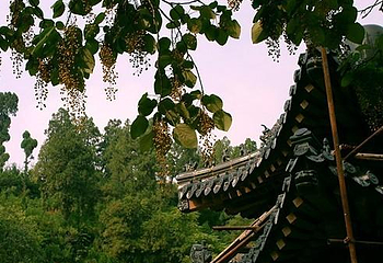 兴教寺第 1 张图片