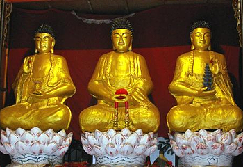 金鸡寺第 1 张图片
