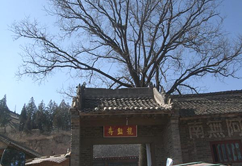龙盘寺第 1 张图片