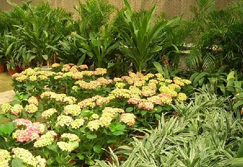 西安植物园新区第 4 张图片