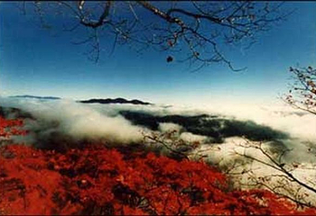 老秃顶自然保护区第 1 张图片