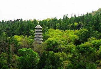 三塔沟第 1 张图片