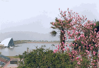 湖州太湖旅游度假区第 36 张图片