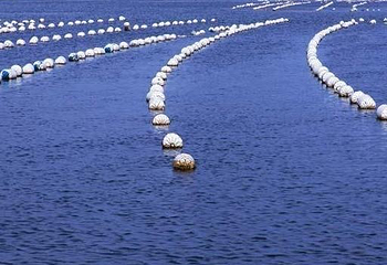 洲子湾海水浴场第 1 张图片