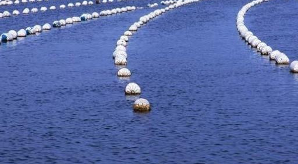 洲子湾海水浴场