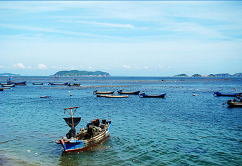 海王九岛第 1 张图片
